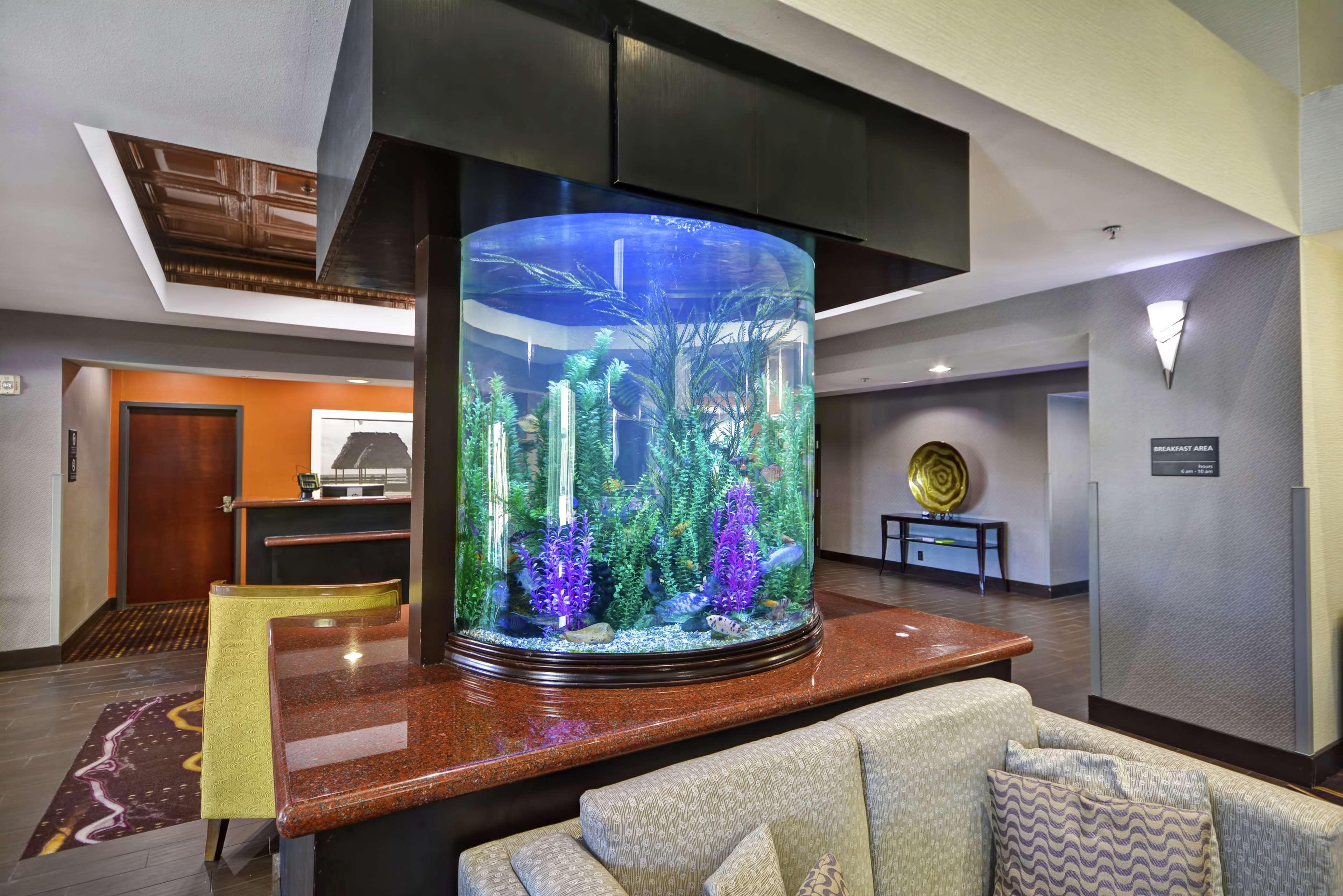 Hampton Inn & Suites Corpus Christi I-37 - Navigation Boulevard Zewnętrze zdjęcie